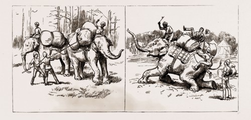 THE EXPEDITION TO UPPER BURMA, WITH THE TONGHOO FIELD FORCE, 1886: TRANSPORT DIFFICULTIES AGAIN,