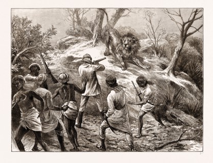 LION SHOOTING IN THE GHEER, KATTIA WAR, WESTERN INDIA, ENGRAVING 1873