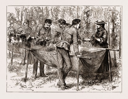 HOP-PICKING AT ALDERSHOTâ€îA MILITARY FLIRTATION, UK, ENGRAVING 1873
