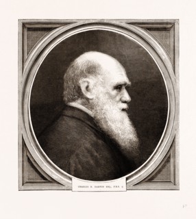 CHARLES R. DARWIN, ESQ. F.R.S.