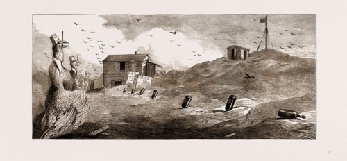 KERGUELEN ISLAND, THE TRANSIT OF VENUS: SECOND ENGLISH ASTRONOMICAL STATION, SUPPLY BAY, ROYAL