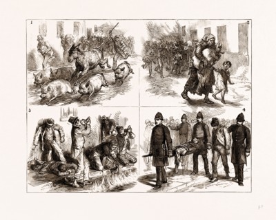 INCIDENTS AT THE GREAT FIRE IN DUBLIN, IRELAND; 1875: 1. Some of the Fugitives. 2. Rescue of the