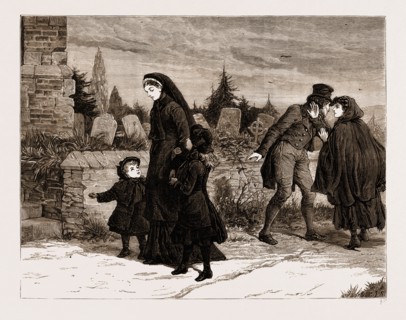 THE LAND AGITATION IN IRELAND: THE WIDOW AND THE ASSASSIN, 1881