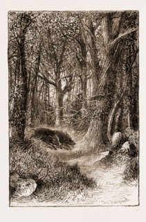 IN THE ARDENNES, 1881: WILD BOARS "IN ARDEN"