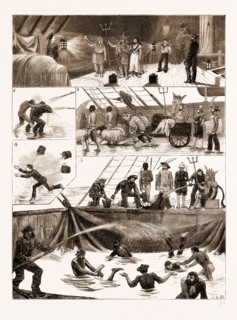 WITH THE FLYING SQUADRON, "CROSSING THE LINE", 1881: 1. Neptune's First Visit. 2. A Candidate for