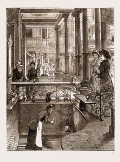 THE BATH AND WEST OF ENGLAND AGRICULTURAL SHOW AT TUNBRIDGE WELLS, UK, 1881: The Wells.