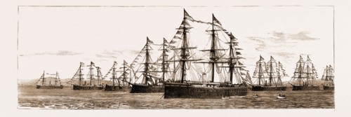 BRITISH AND FOREIGN SHIPS OF WAR IN THE BAY CELEBRATING HER MAJESTY'S BIRTHDAY, 1881