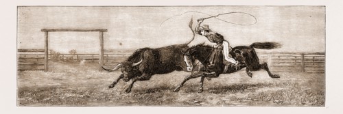 SATURDAY AFTERNOON IN NORTH QUEENSLAND: "FRESH BEEF FOR SUNDAY", 1881