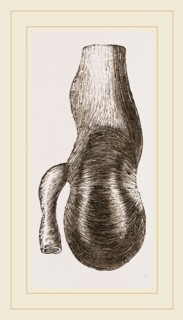Stomach of Nanclu
