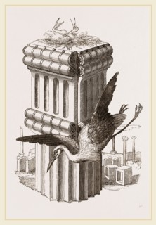 Stork's Nest at Persepolis, Iran