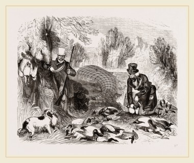 Wild Duck Decoy Lincolnshire UK