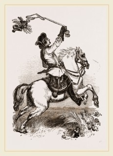 Luring the Hawk
