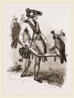 Going to the Field with the Hawk