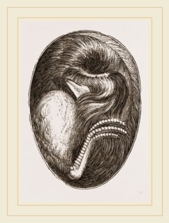 Chick in Egg