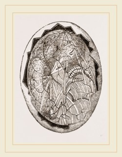 Egg on Eighteenth Day