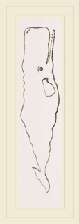 Spermaceti Whale