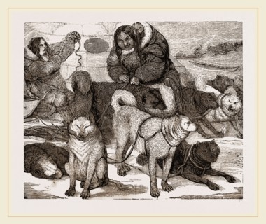 Esquimaux Dogs harnessed to a Sledge