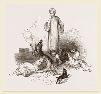Street Dogs of the East