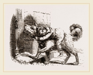 Dog of Mount St. Bernard