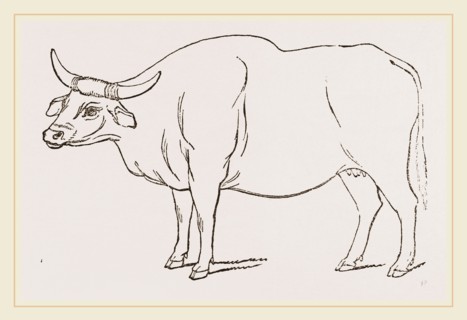 Gayal