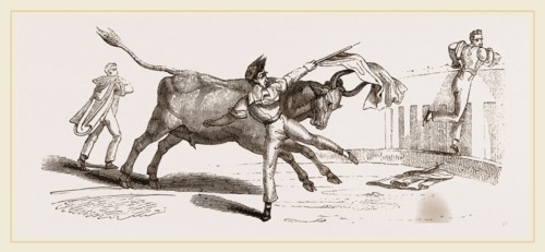 Spanish Bull-fight