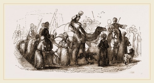 Malefactor paraded on Camel