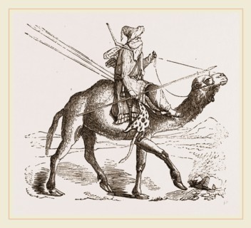Swift Camel mounted