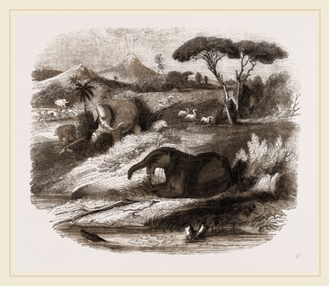 Dinotherium