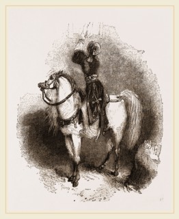 Arabian Horse