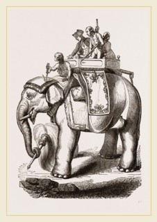 Warren Hastings' Elephant