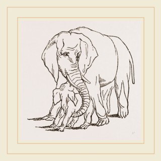 Female Elephant and her young one