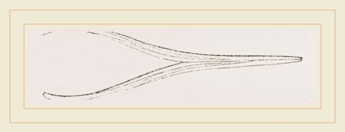 Lower Jaw of Ichthyosaurus