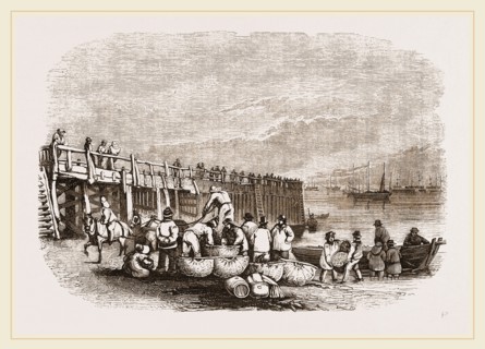 Herring-boats at Yarmouth Jetty, UK