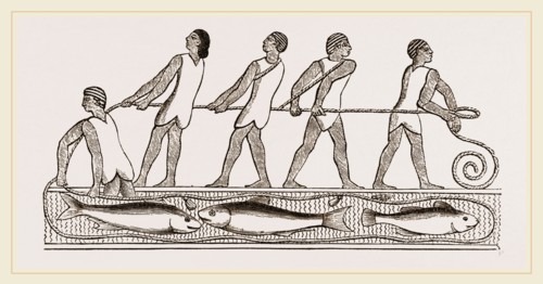 Ancient Egyptians fishing with drag-net, Egypt