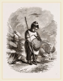 Young Shrimp-catcher