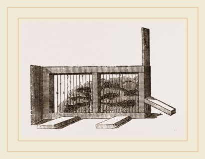 Huber's Ant-Apparatus