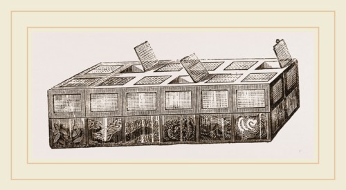 Breeding-Cage for Larvae