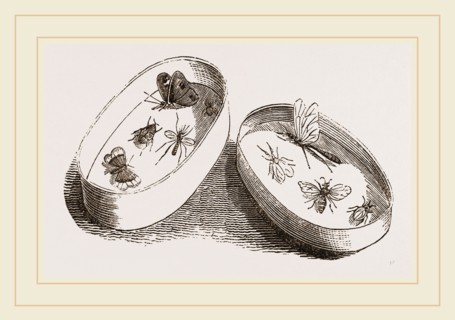 Chip Collecting-Box
