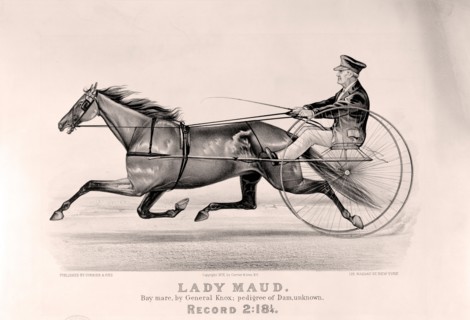 Lady Maud: bay mare, by General Knox; pedigree of dam, unknown; Currier & Ives.,; New York :