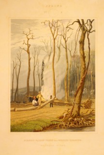 Spring--Burning fallen trees in a girdled clearing--Western scene / engraved by W.J. Bennett N.A.