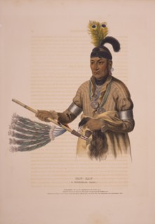 Naw-kaw, a Winnebago chief / drawn, printed & coloured at I.T. Bowen's Lithographic Establishment,