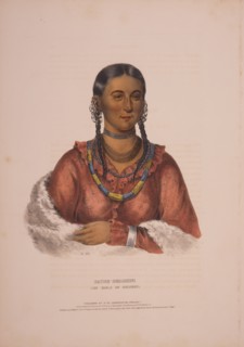 Hayne-Hudjihini, the Eagle of Delight / A.H. ; drawn, printed & coloured at I.T. Bowen's