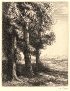 Alphonse Legros (French, 1837 - 1911). The Edge of the Woods (La Liseuse: La Lecture sous les