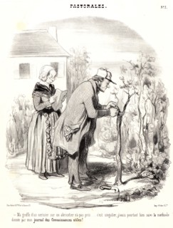 Honoré Daumier (French, 1808 - 1879). Ma greffe d'un cerisier sur abricotier n'a pas pris..., 1845.