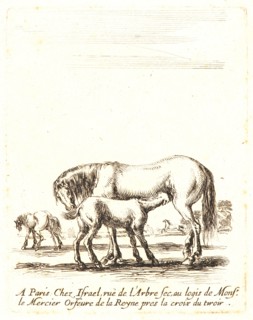 Stefano Della Bella (Italian, 1610 - 1664). Jument qui donne a teter a son poulain, 1642-1645. From