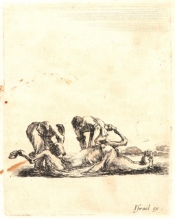 Stefano Della Bella (Italian, 1610 - 1664). Deux equarisseurs ecorchent un cheval, 1642-1645. From