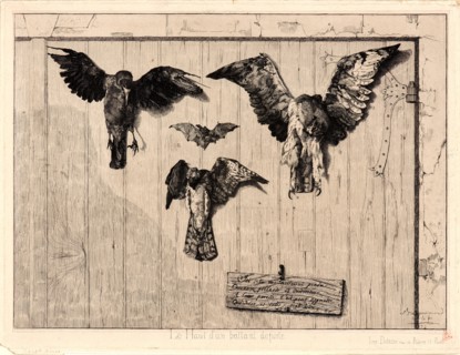 Félix Bracquemond (French, 1833 - 1914). Birds Nailed to a Barn Door (Le Haut d'un Battant de