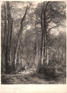 Karl Bodmer (Swiss, 1809 - 1893) after Jean-FranÃ§ois Millet (French, 1814 - 1875). In the Forest