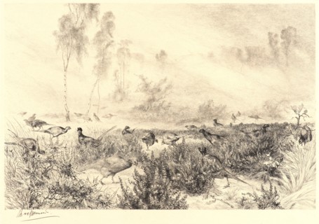 Félix Bracquemond (French, 1833 - 1914). Morning Mists (Brumes du Matin). Etching. Second state.