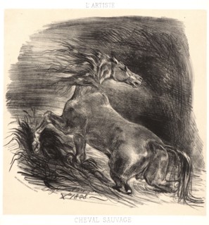 EugÃ¨ne Delacroix (French, 1798 - 1863). A Wild Horse Emerging from Water (Cheval sauvage sortant